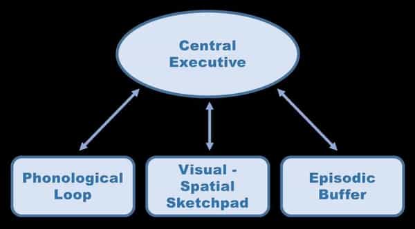 Education PowerPoint Design - Using Baddeley and Hitch’s Model of Working Memory.